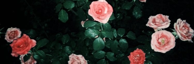 emilyott480's profile banner image