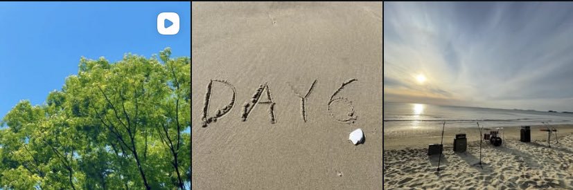 dels ꕤ semi rest banner