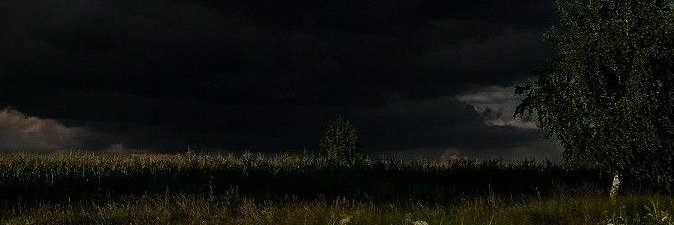 RvsipT's profile banner image
