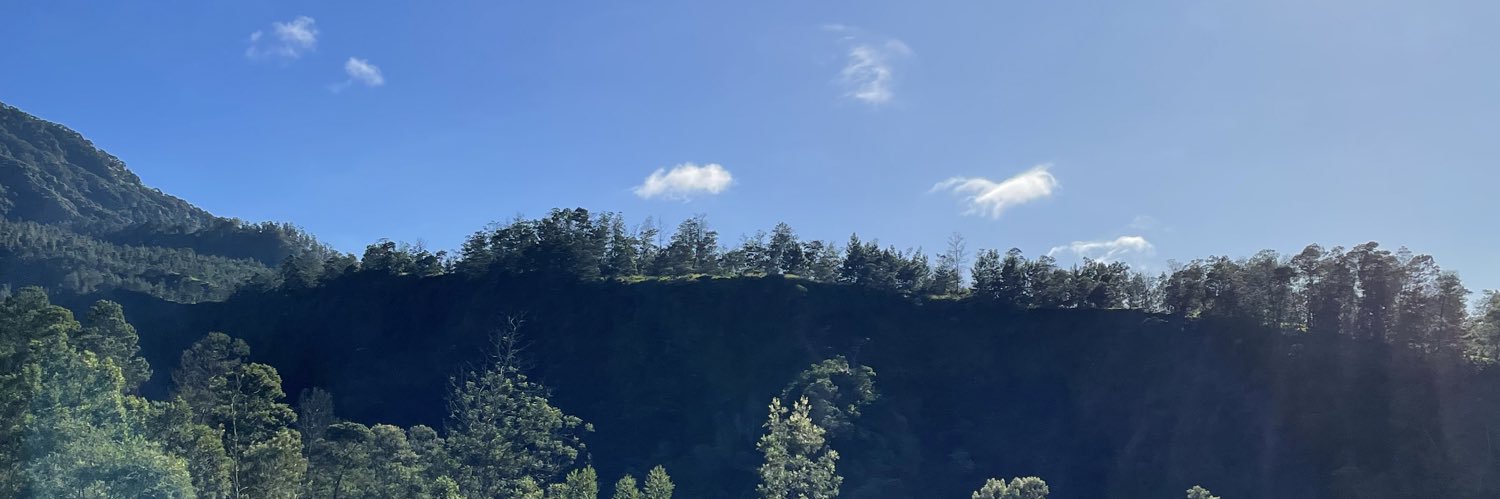 avirianta's profile banner image