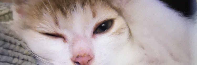 flasap_'s profile banner image