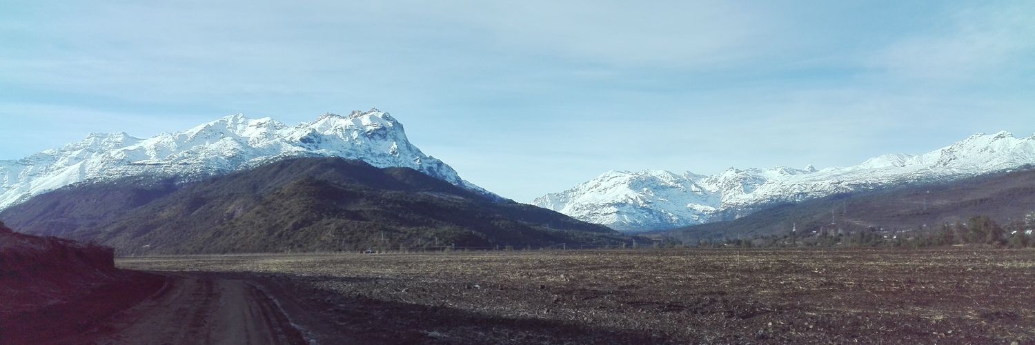 fibarra2304's profile banner image