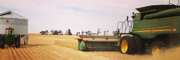 rockoko87 Profile Banner