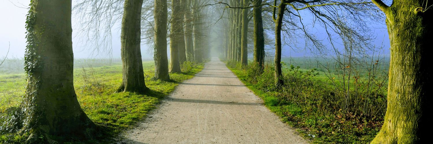 paul van bladel banner