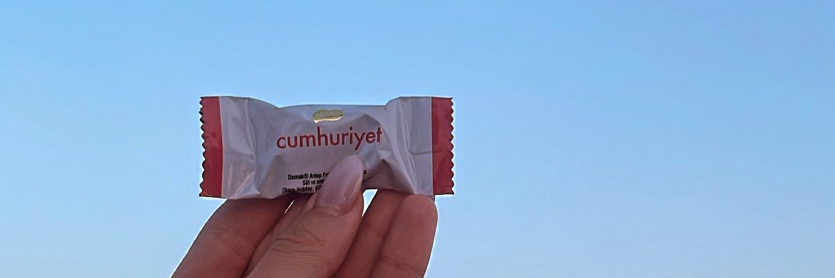 Merve Ercan banner