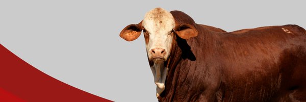 BrafordArg Profile Banner