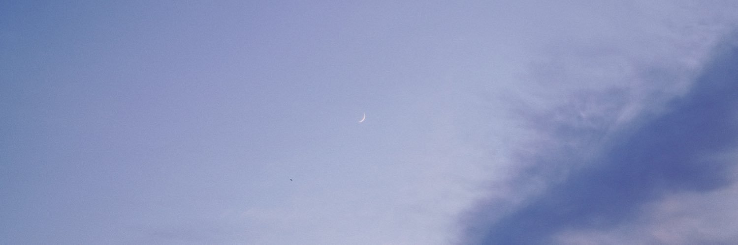 albert planella banner