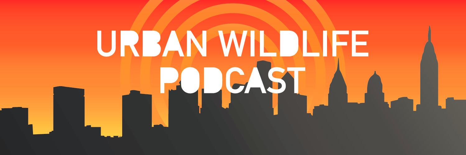 UrbWildlifeCast's profile banner image
