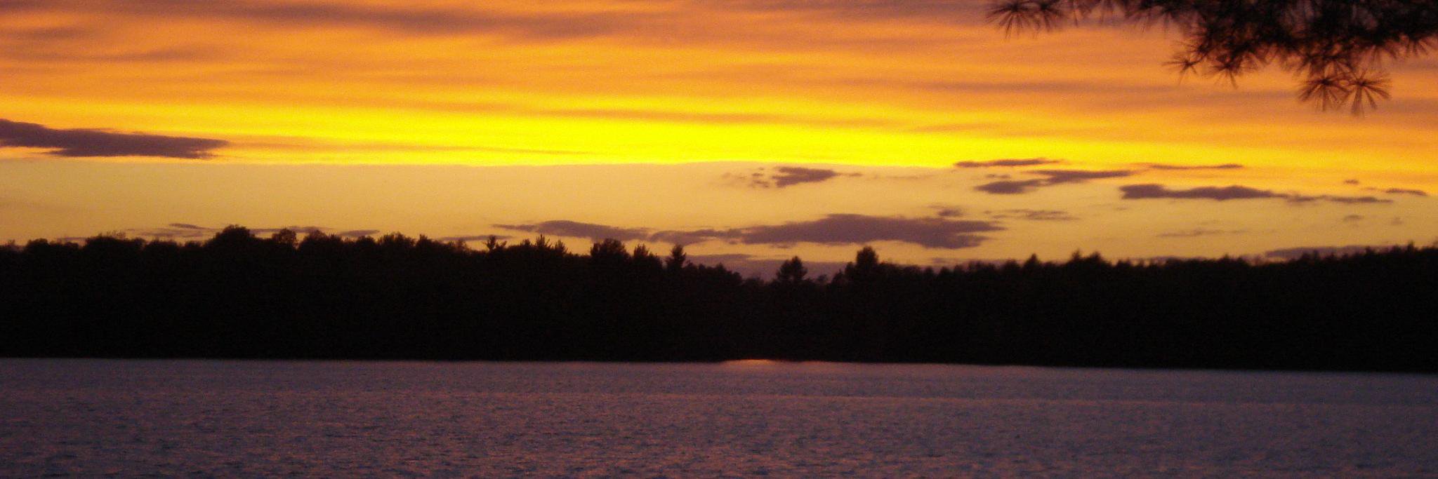 Tim Weisensel banner