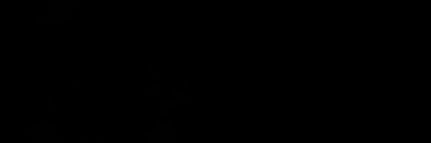 evann973's profile banner image