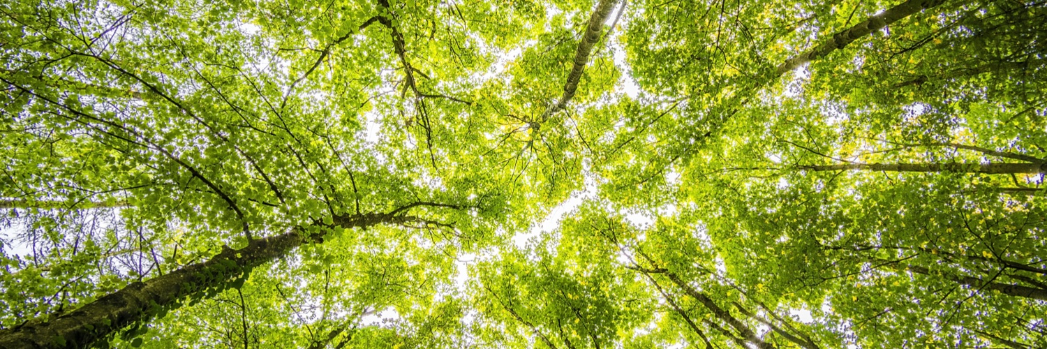 Energy Center banner