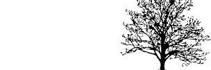 Asanda_Dayimani's profile banner image