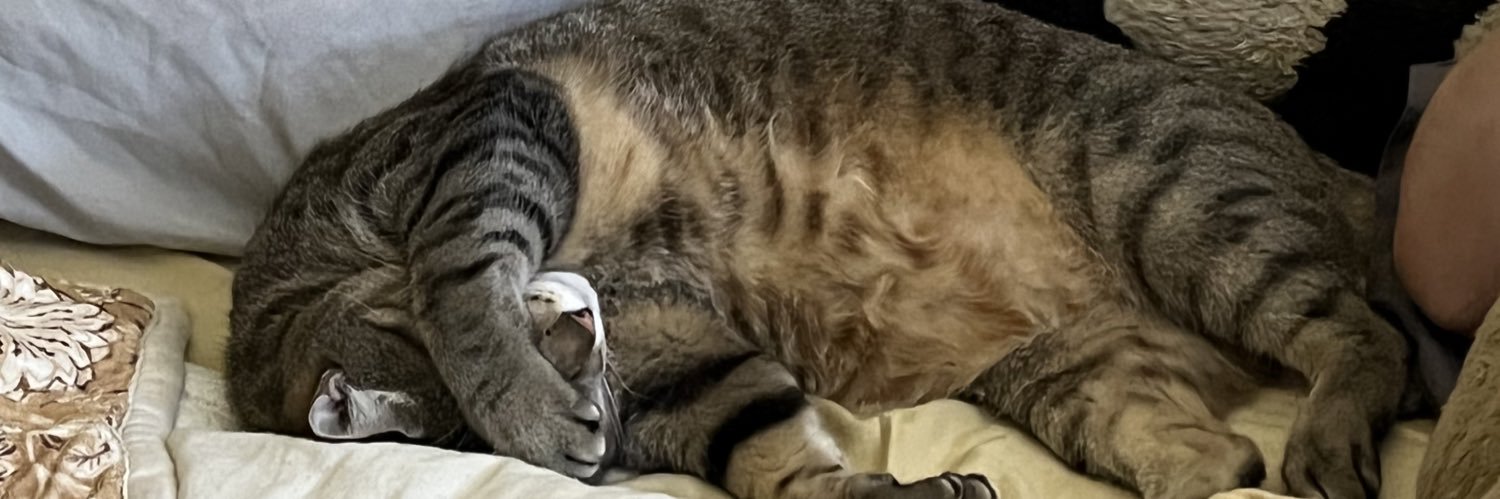 kelseysiobahn's profile banner image