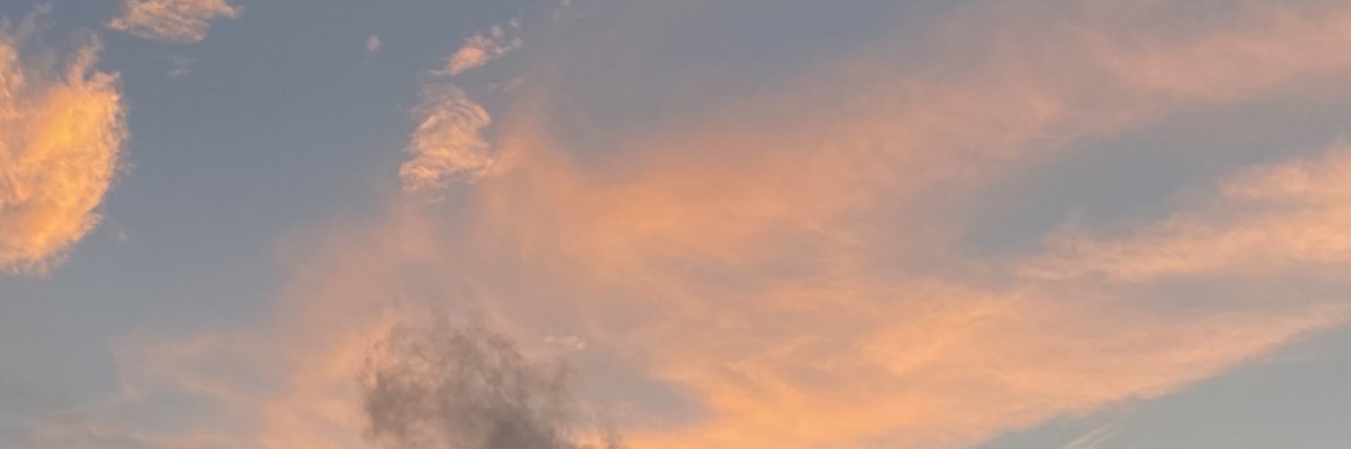 amleeeyy's profile banner image