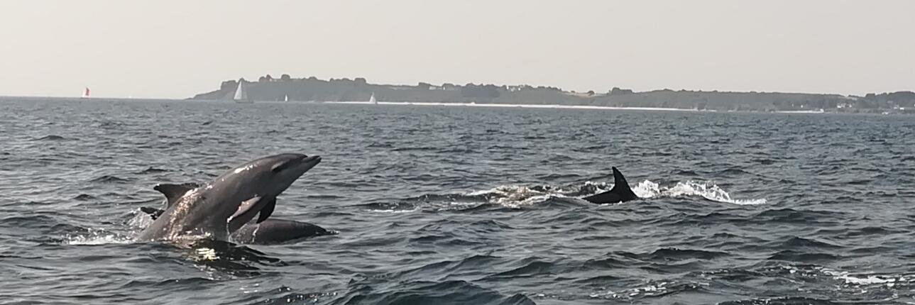 M_Fab56's profile banner image