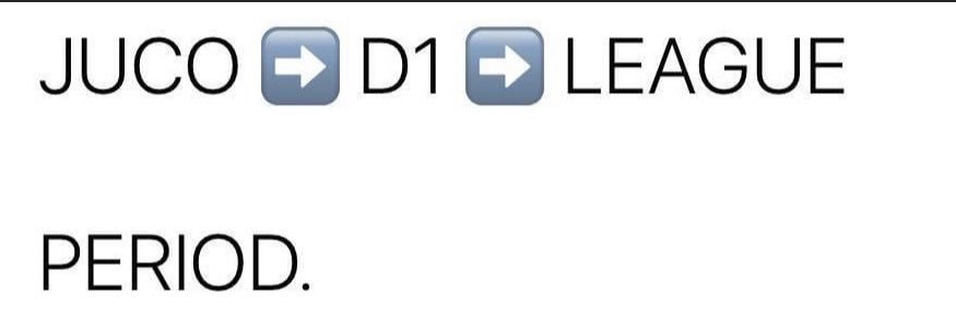 Walter Hamilton banner