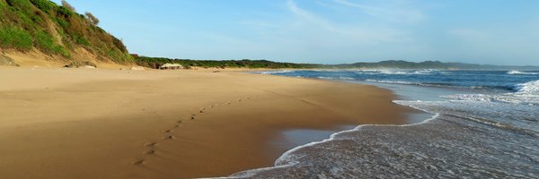 RespTraveller Profile Banner