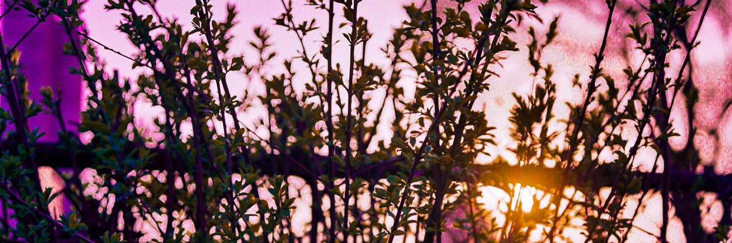 kyle_molloy's profile banner image