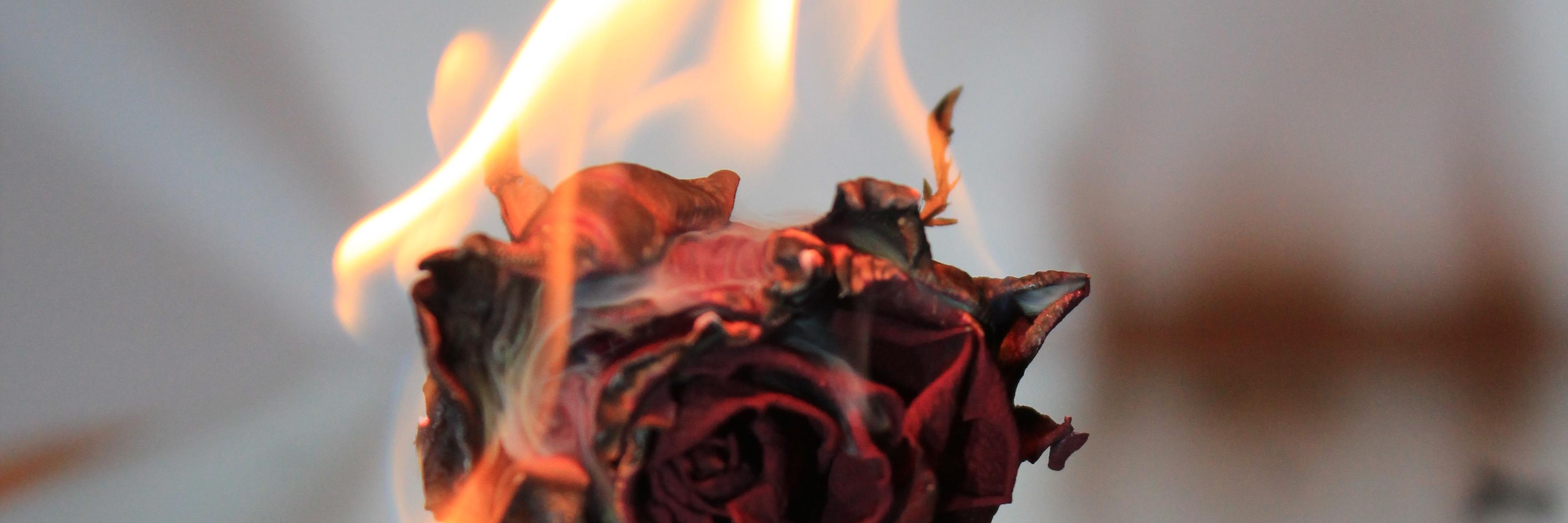 flauschy_me's profile banner image