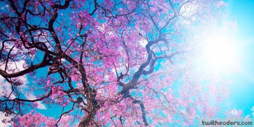 tania_j1's profile banner image