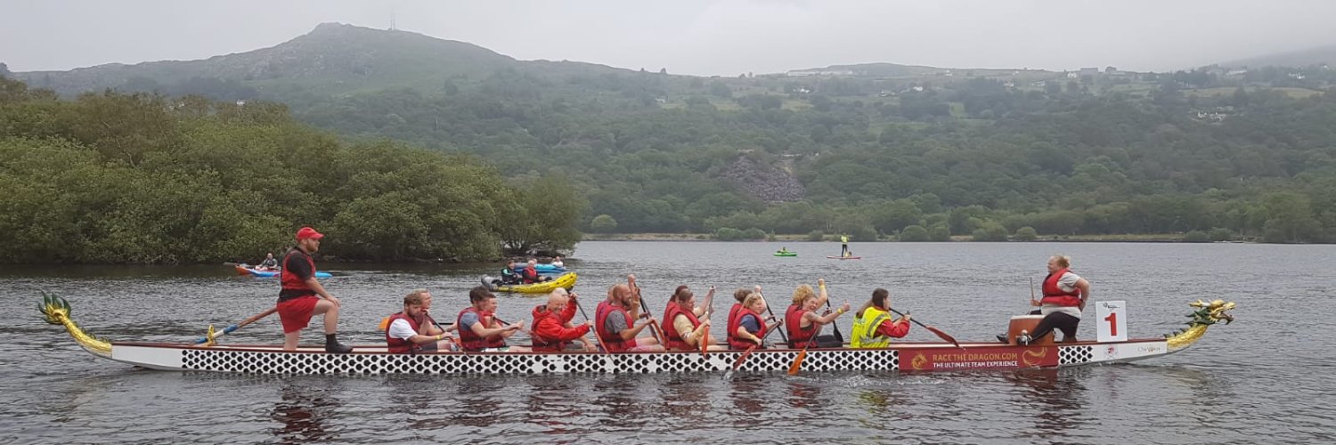 Angharad Williams banner