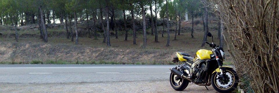 willyfox77's profile banner image