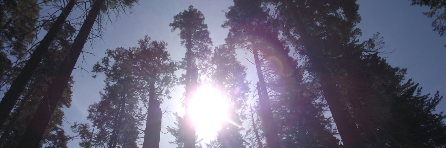 Charo Darwin Glomah banner