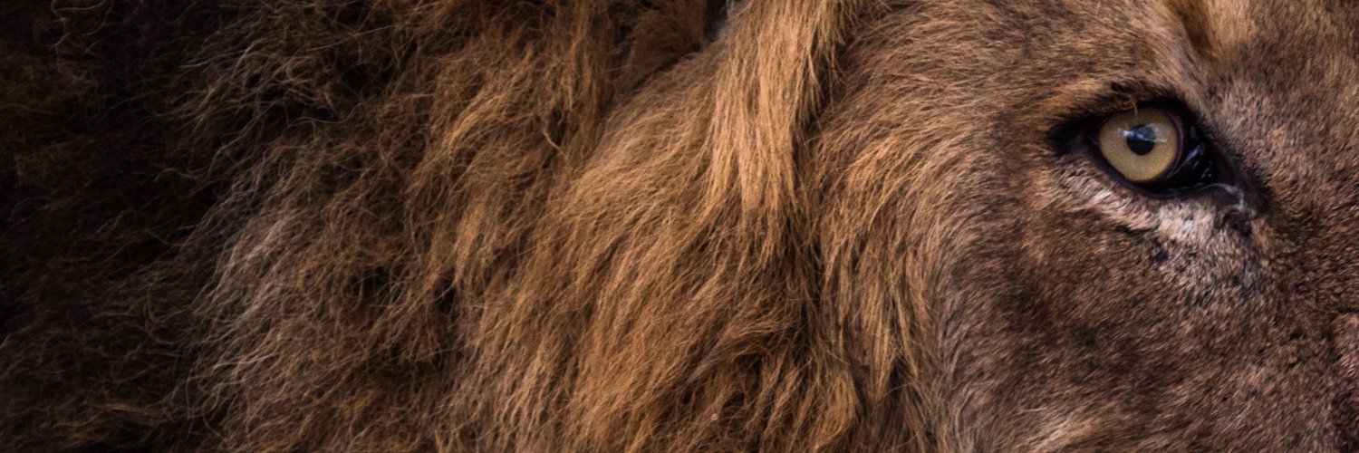 dekapho's profile banner image