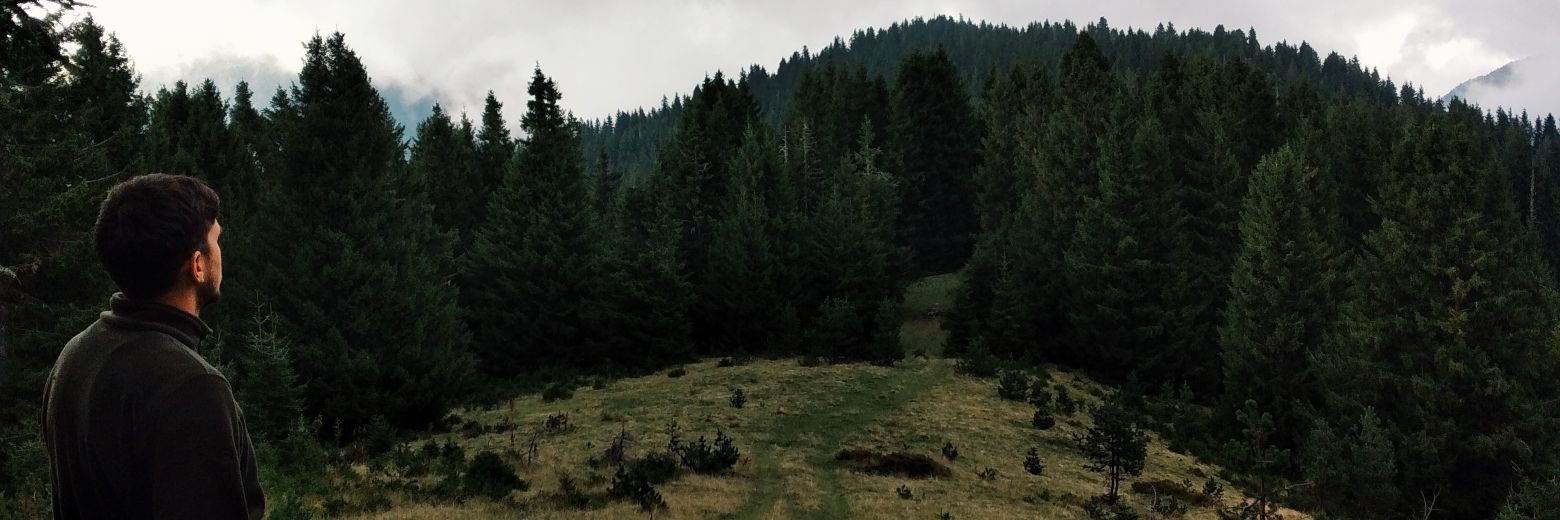 frukozdemir's profile banner image