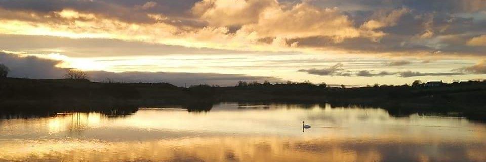 WillyDarragh's profile banner image
