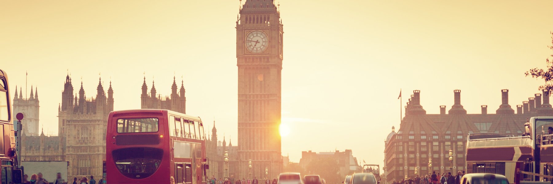 Tony Cheverall banner