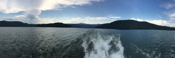 RealScience2020 Profile Banner