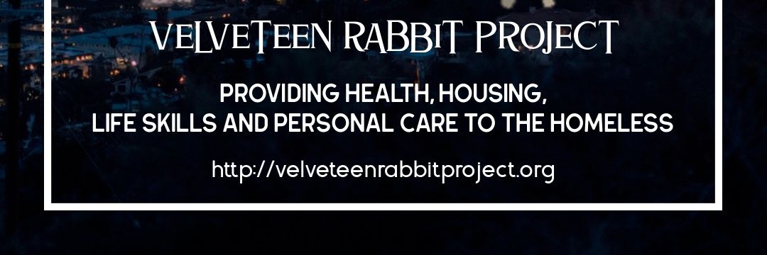 Velvet4Obama's profile banner image