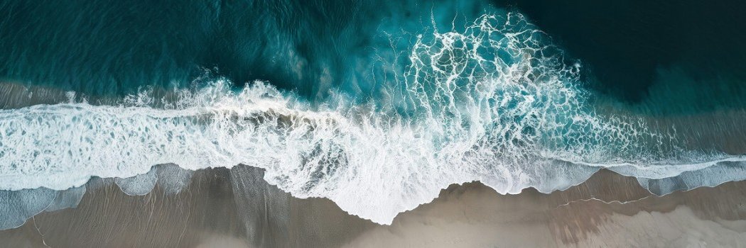 Joan Capdevila banner