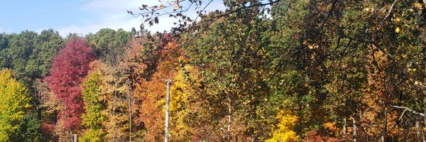 bemagentaRL Profile Banner