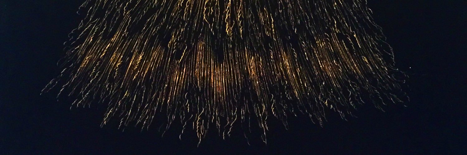 cathy ward banner