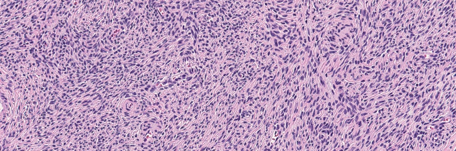 MGH Pathology banner