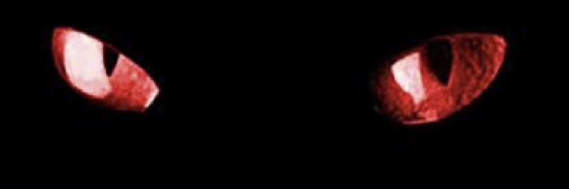 🕷David 🅱️ape🕷 banner