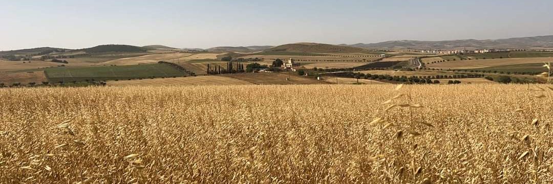 Hadjria30's profile banner image