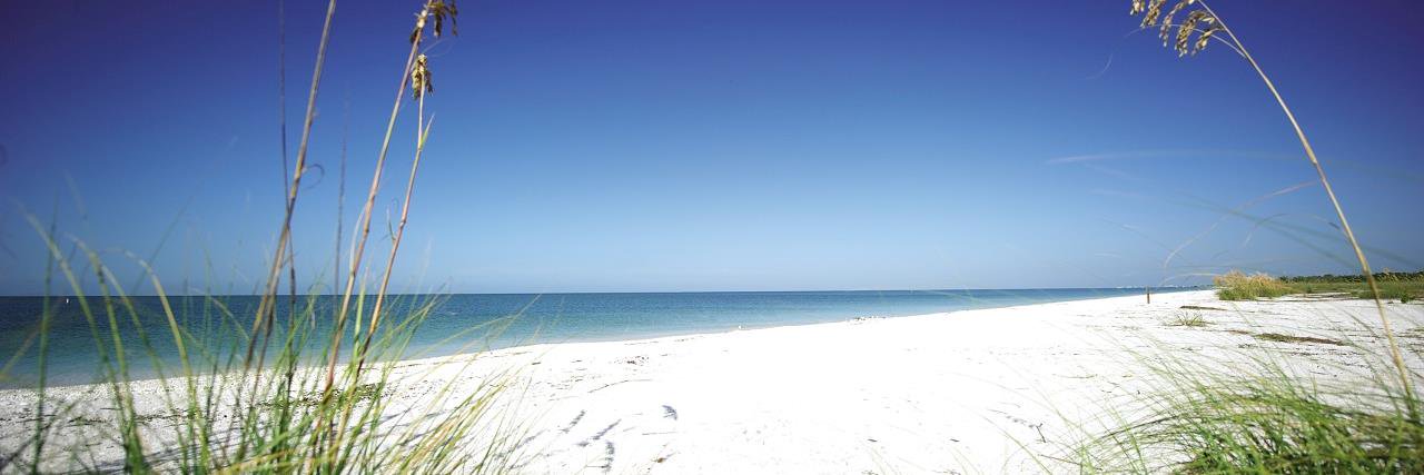 CRCypressRealty's profile banner image