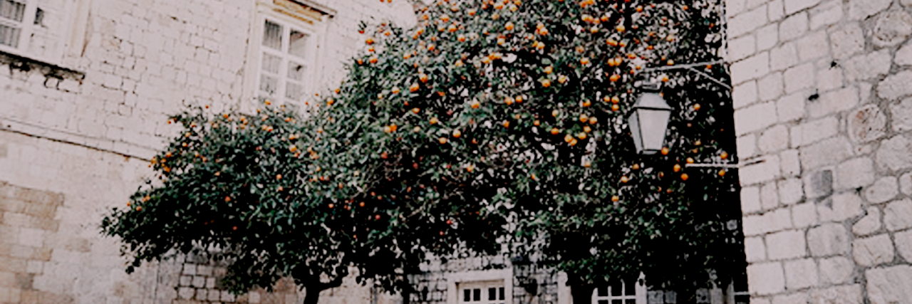 xSubjectA1's profile banner image