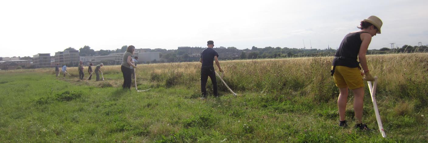 Community Haystacks banner