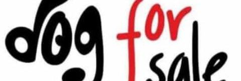 Banky1605's profile banner image