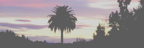 jkimpton89's profile banner image