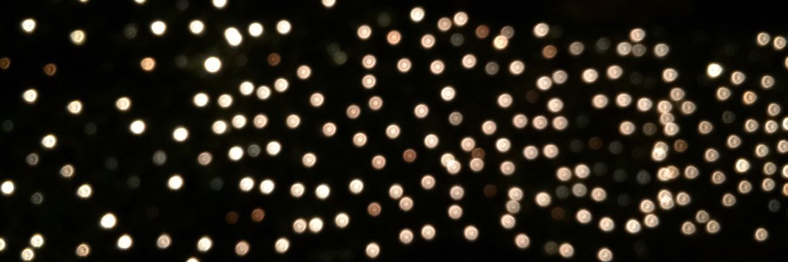 Katie__Wall's profile banner image