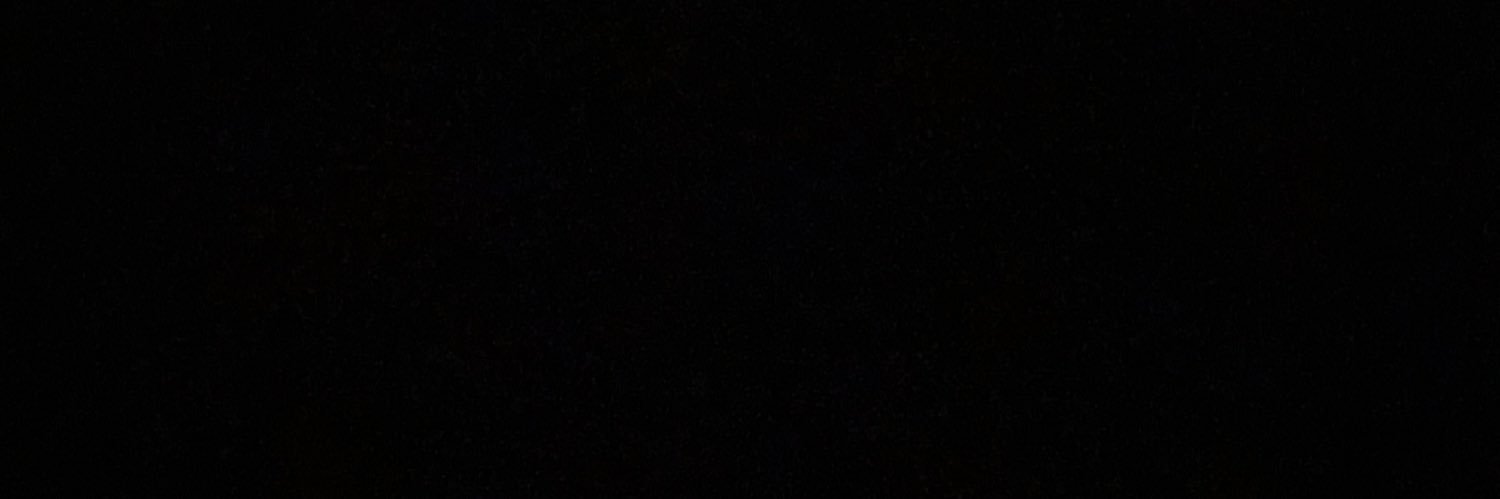 shayaIamberti's profile banner image
