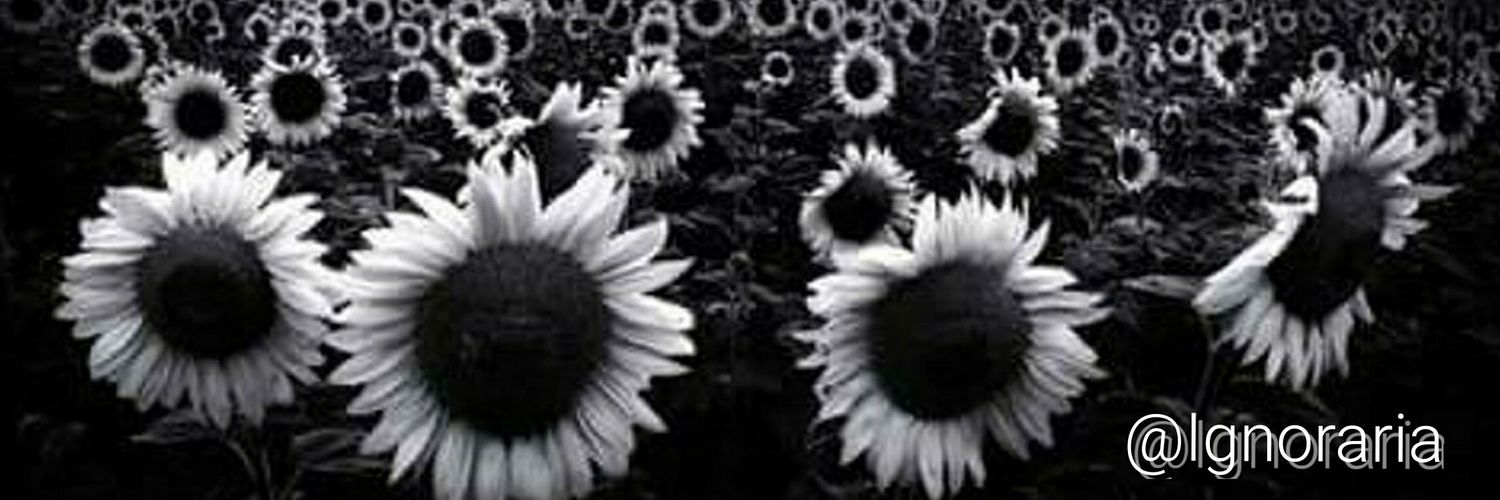 Ignoraria's profile banner image