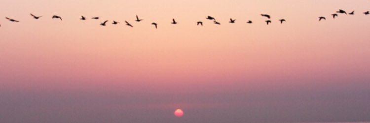letzte_minute's profile banner image