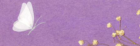 chai_860824's profile banner image