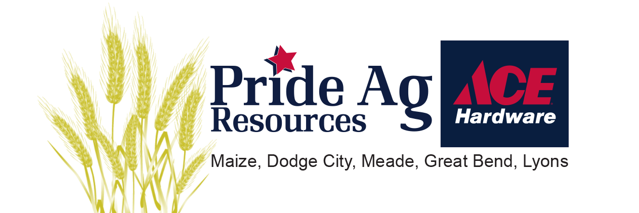 Prideagace's profile banner image